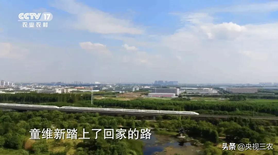 他放弃高薪回村干这一行，旁人不理解，如今大获成功