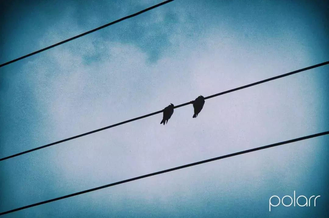 铜元局记忆视频,铜元局记忆照片