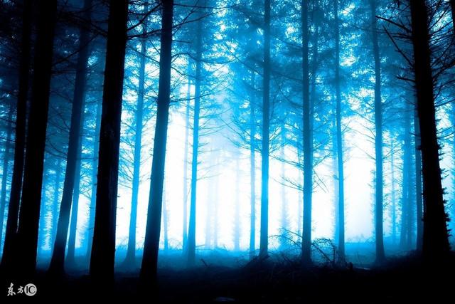 男人被美女倒追的小说,被外国美女倒追小说