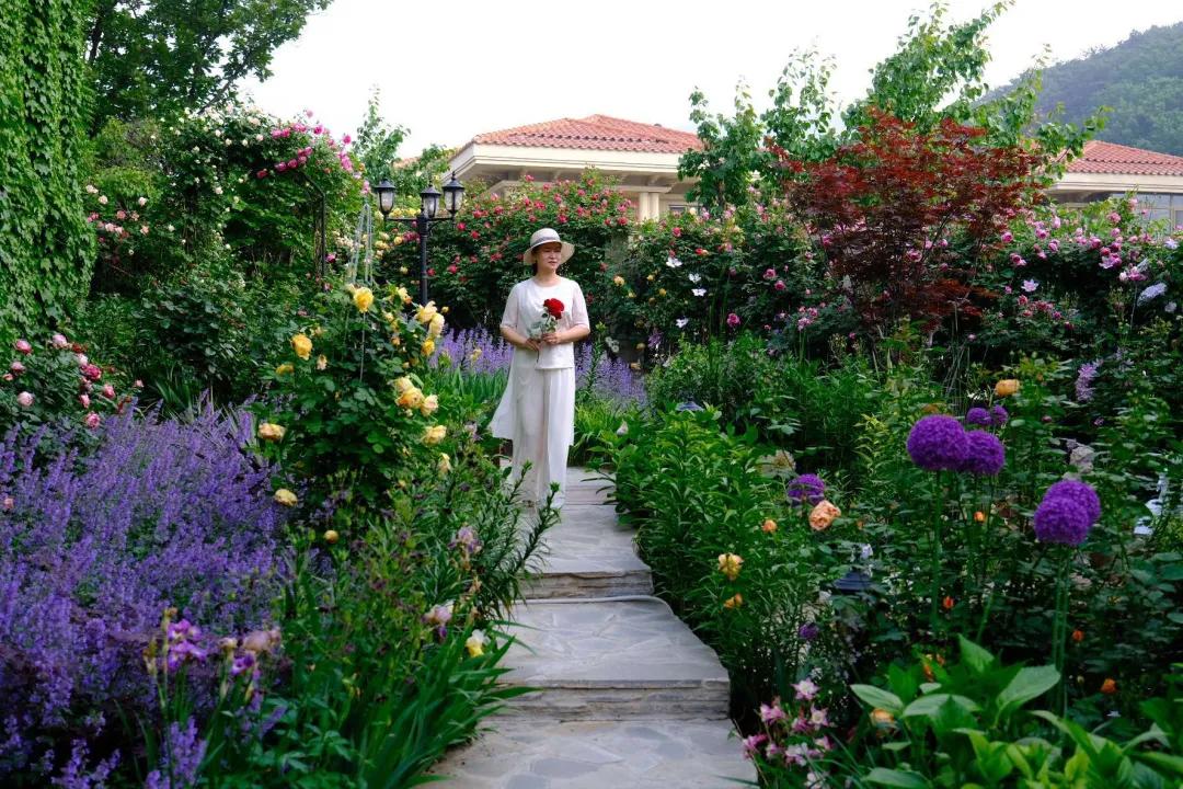 北方一年四季都开花的花园,东北花园四季开花植物