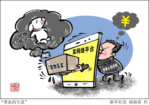 “宠物盲盒”再次隐秘上架：血染的快递，是宠爱还是*杀虐**