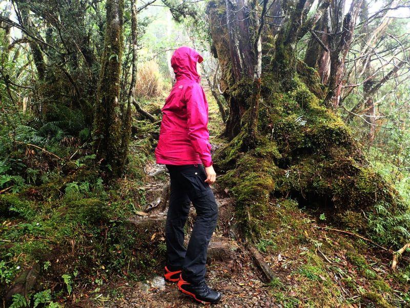 thenorthface北面冲锋衣测评,防水防雪羽绒服thenorthface