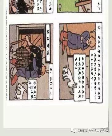 丁丁和丁丁历险记论文,丁丁历险记丁丁的服装