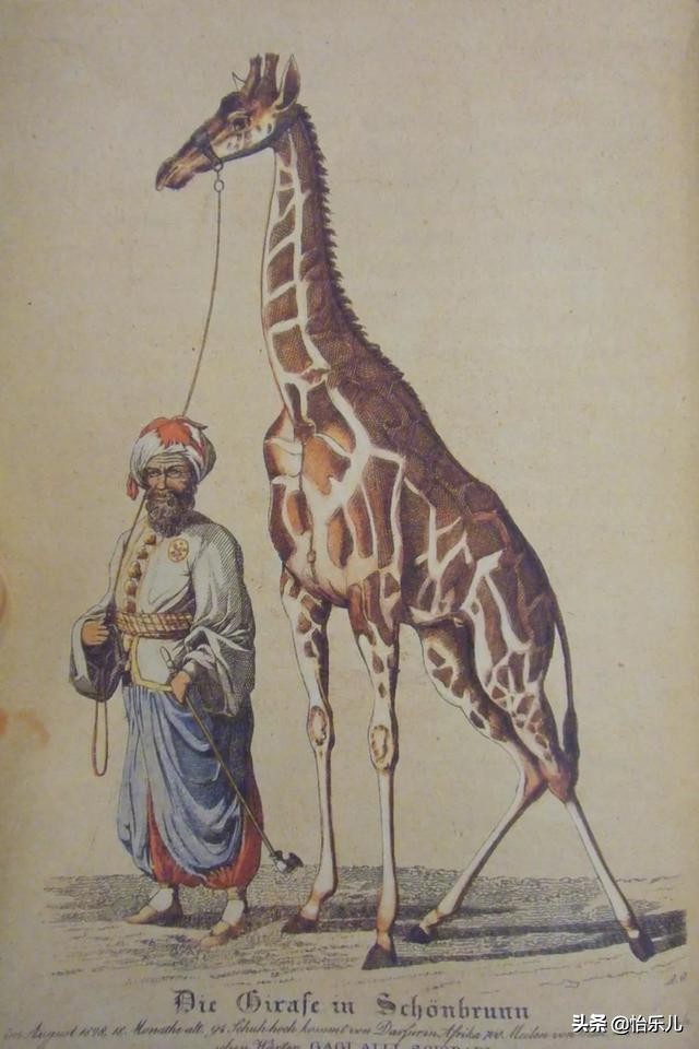 乾隆与富察氏的爱情故事,乾隆对富察氏有多深爱