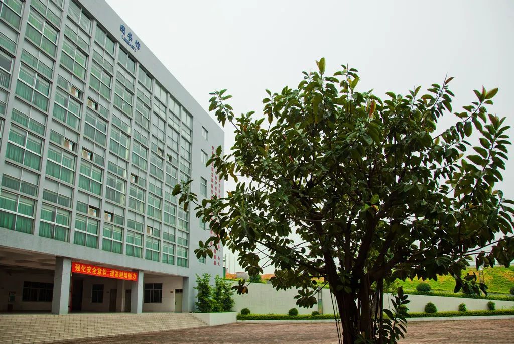 东莞东华高考状元第一名,广东东莞状元郎