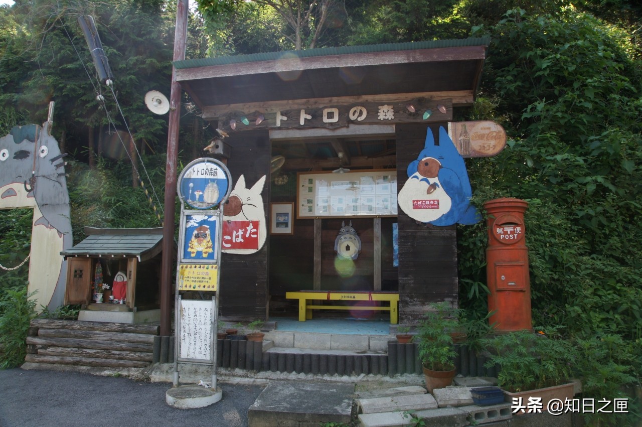 龙猫在日本的什么地方 (萤火之森和龙猫)