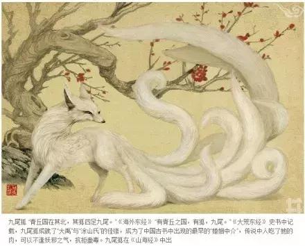 90后女孩拍稀有动物,90后女孩拍视频200万