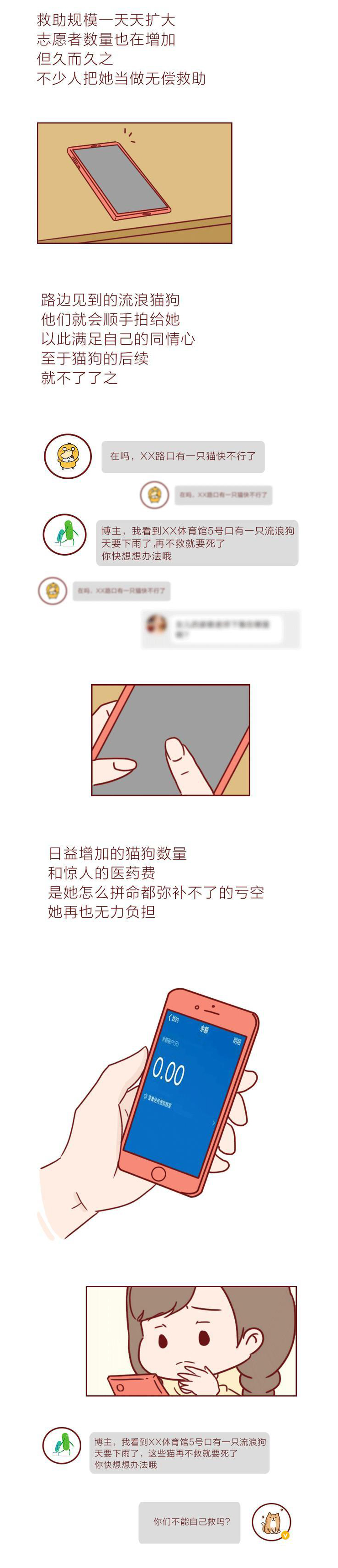 因为救助流浪猫，女生被道德绑架，网友评论：看着就恶心