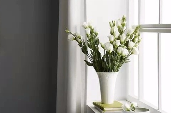 硅藻泥与艺术壁材的区别,火山泥和硅藻泥的区别