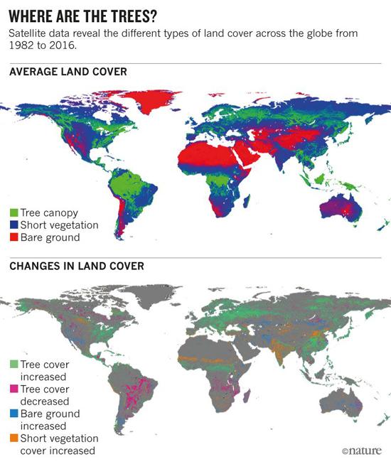 植树造林40年,黄河水变清中国植树造林