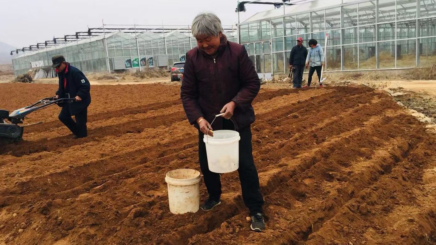 春雷响万物忙生长,惊蛰万物长春耕农事忙
