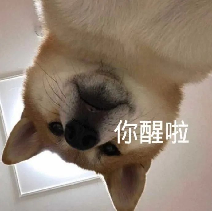 你还要我怎样表情包,表情包比你本人还要好看