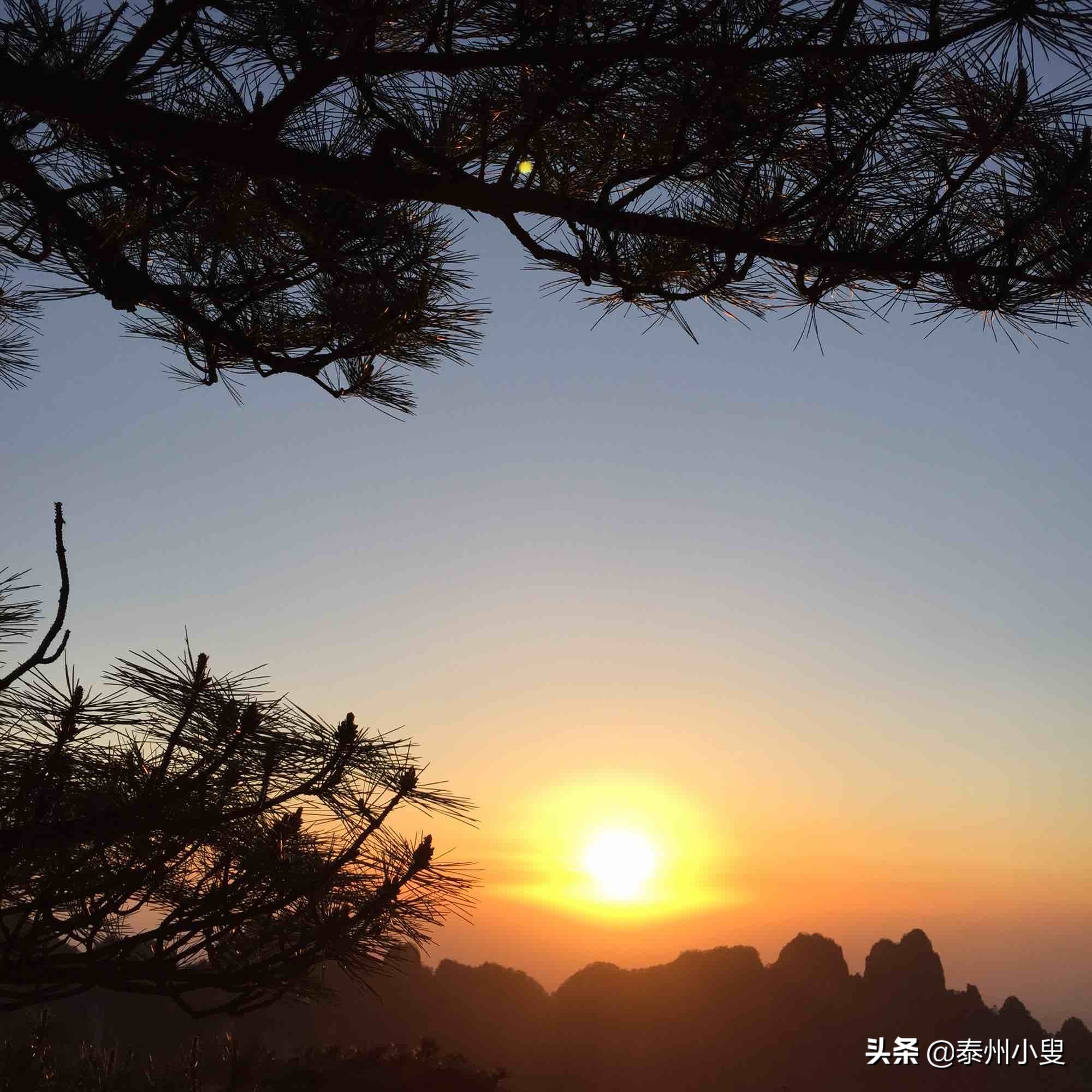 黄山旅游攻略最新,大美黄山旅游胜地