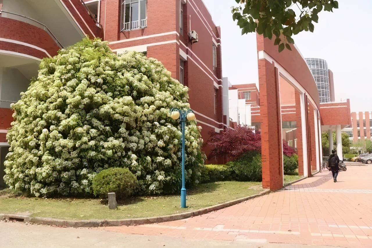 上海交大世界大学排名,上海交大最牛校长