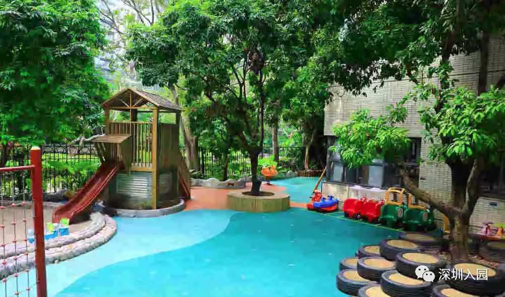 深圳双语幼儿园哪所比较好,深圳公立幼儿园学位充足