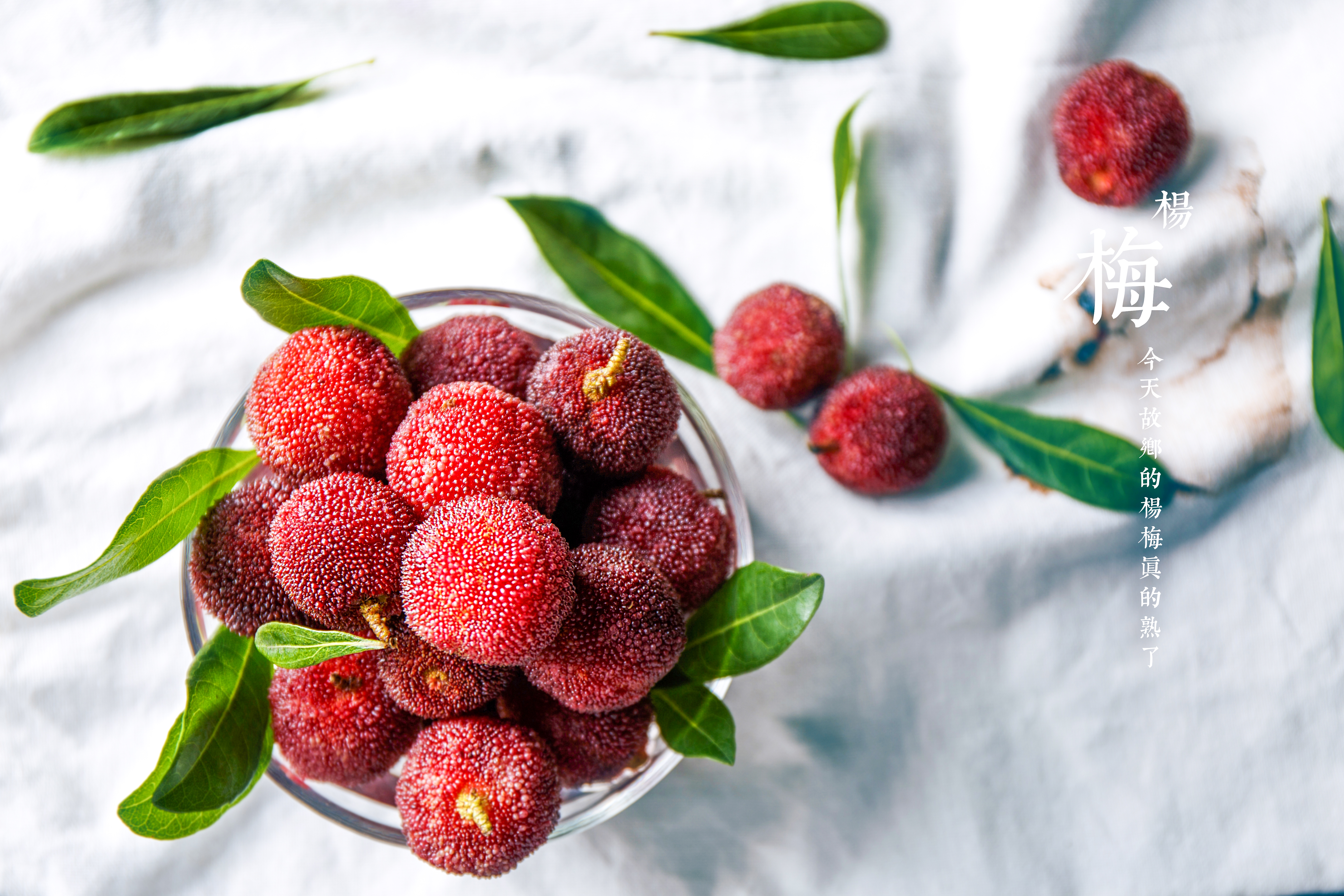 杨梅用什么方法吃不酸,杨梅果酱能酿酒吗