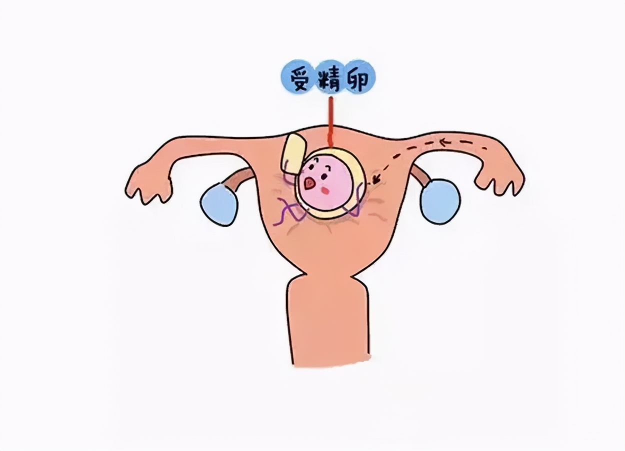 排卵时是什么感觉呢,排卵时有三种表现特别强烈