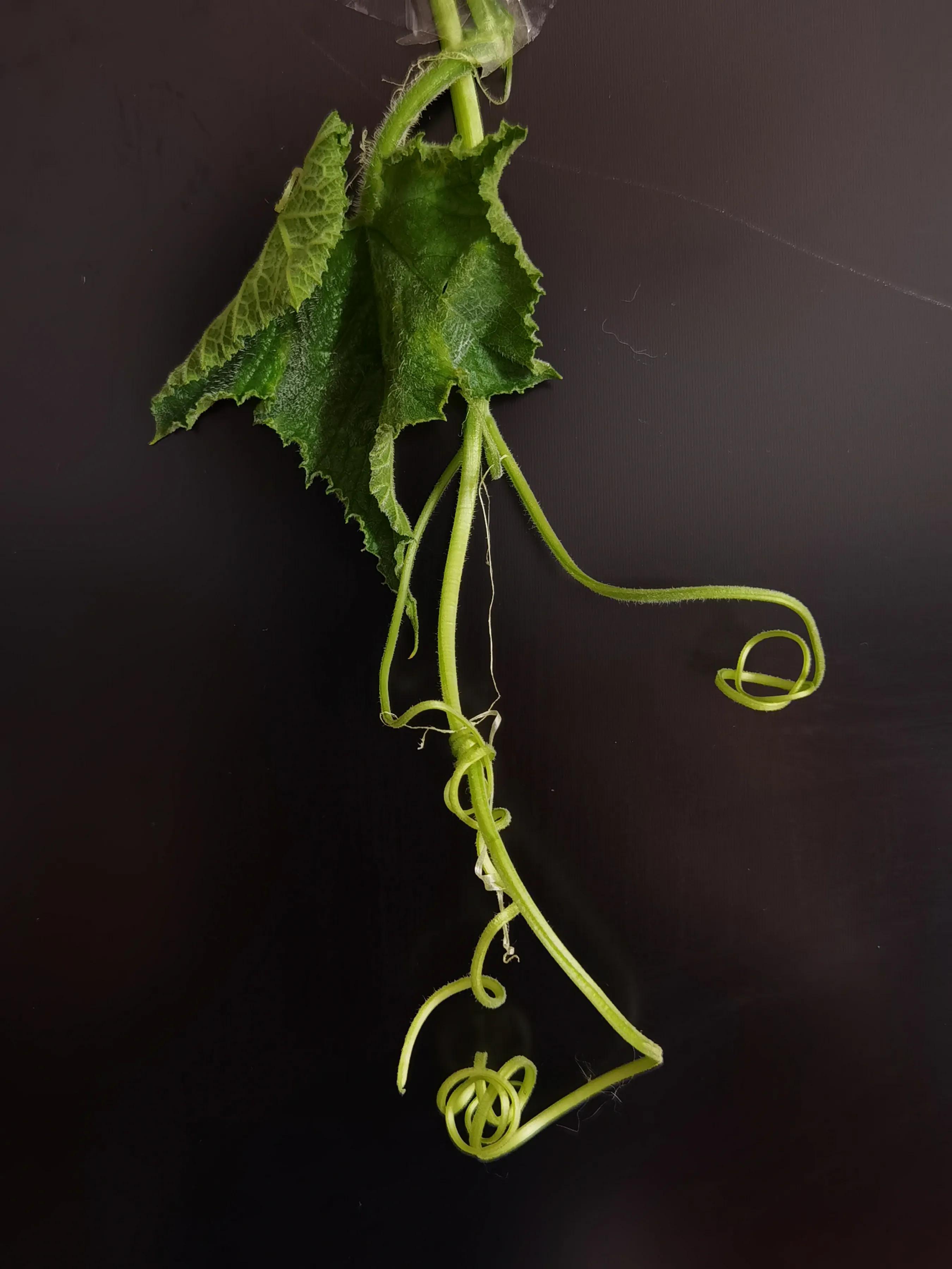 手拍世界手机摄影平台,手拍世界摄影交流平台