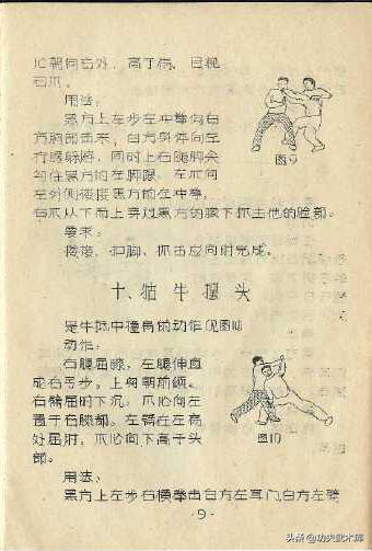 失传已久的古少林迷踪拳秘籍,少林十三抓拳谱