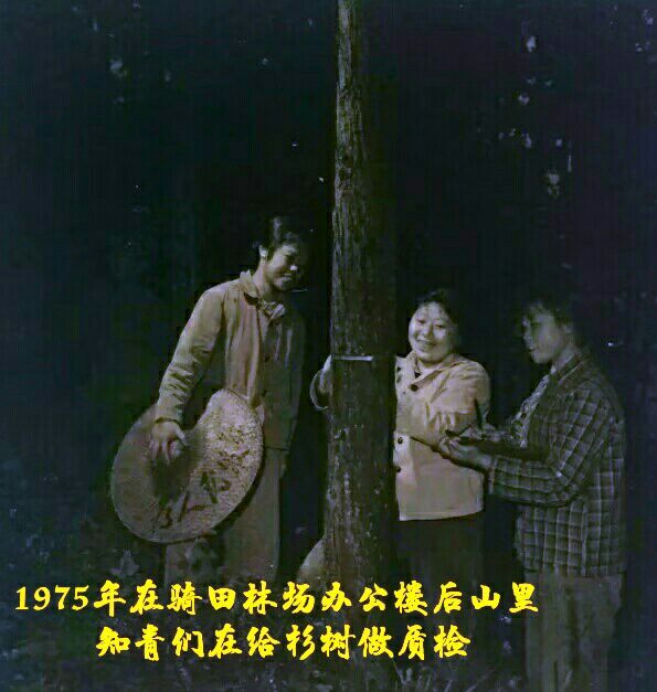 知青情结图片素材,60年代的知青情结
