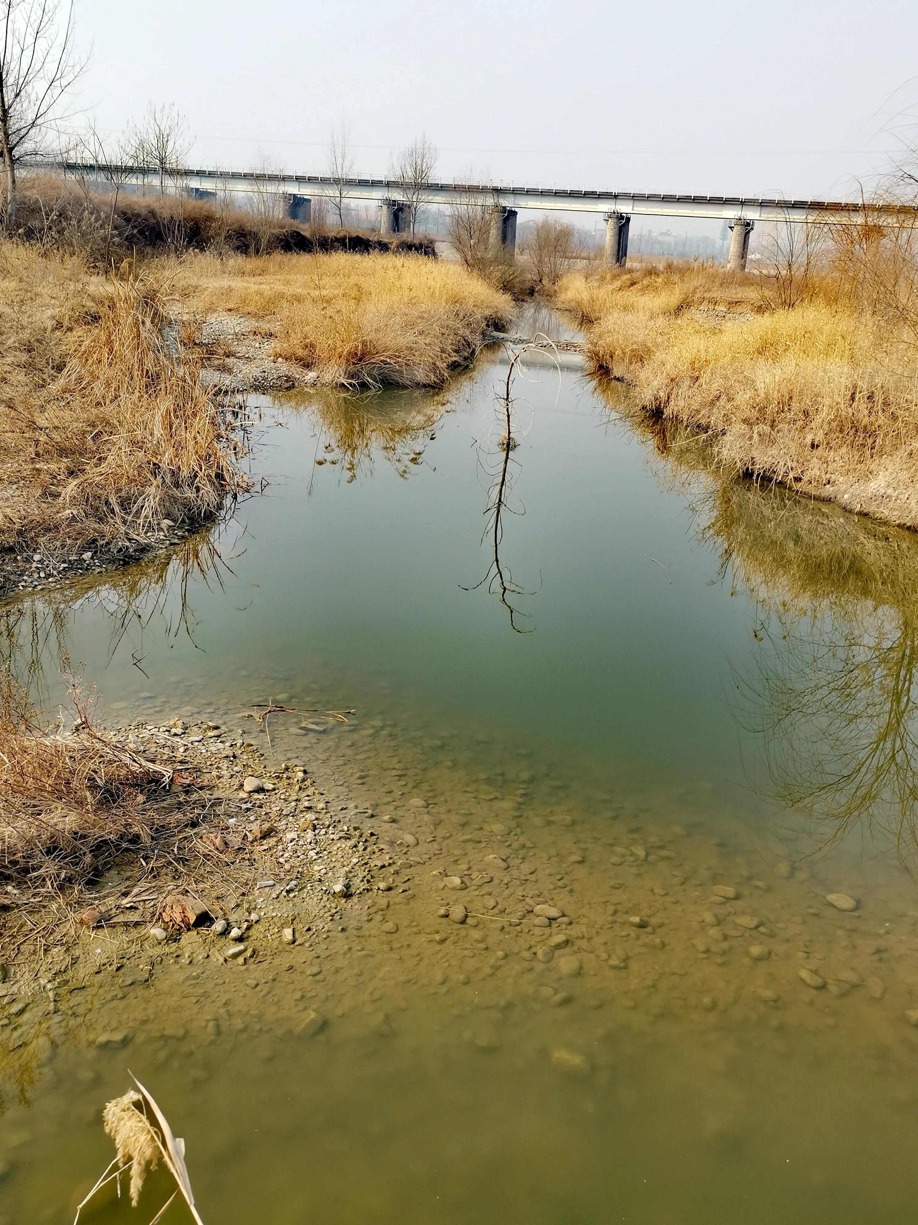 大年初一逛栎阳湖湿地公园,柳色遥看近吐绿,春归石川河!