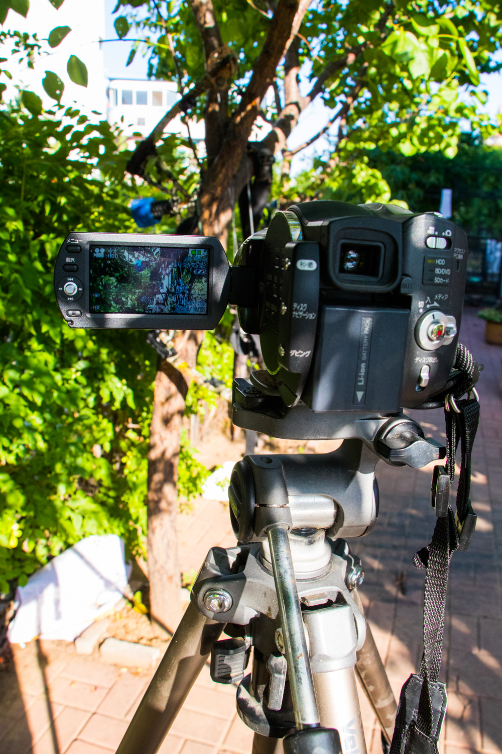 国产复合弓十大品牌,实战测试弓和弩