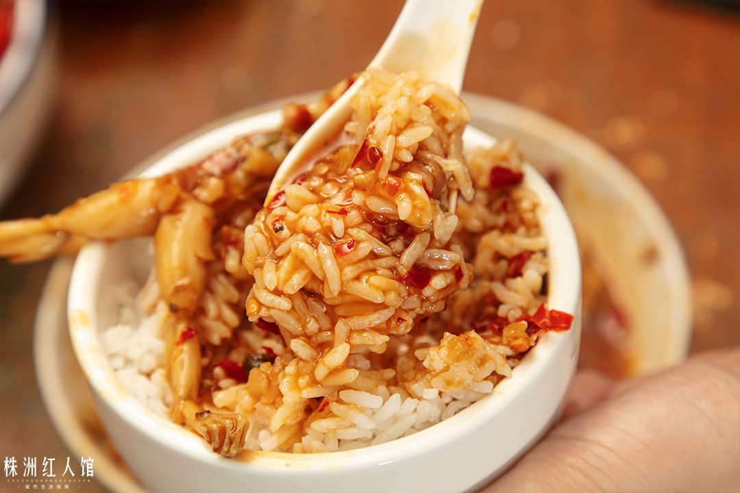 神经哥回归过程,神经哥原唱歌曲