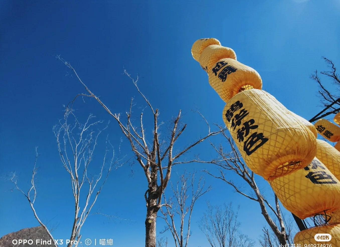 微观世界大自然,微观世界的神奇视频