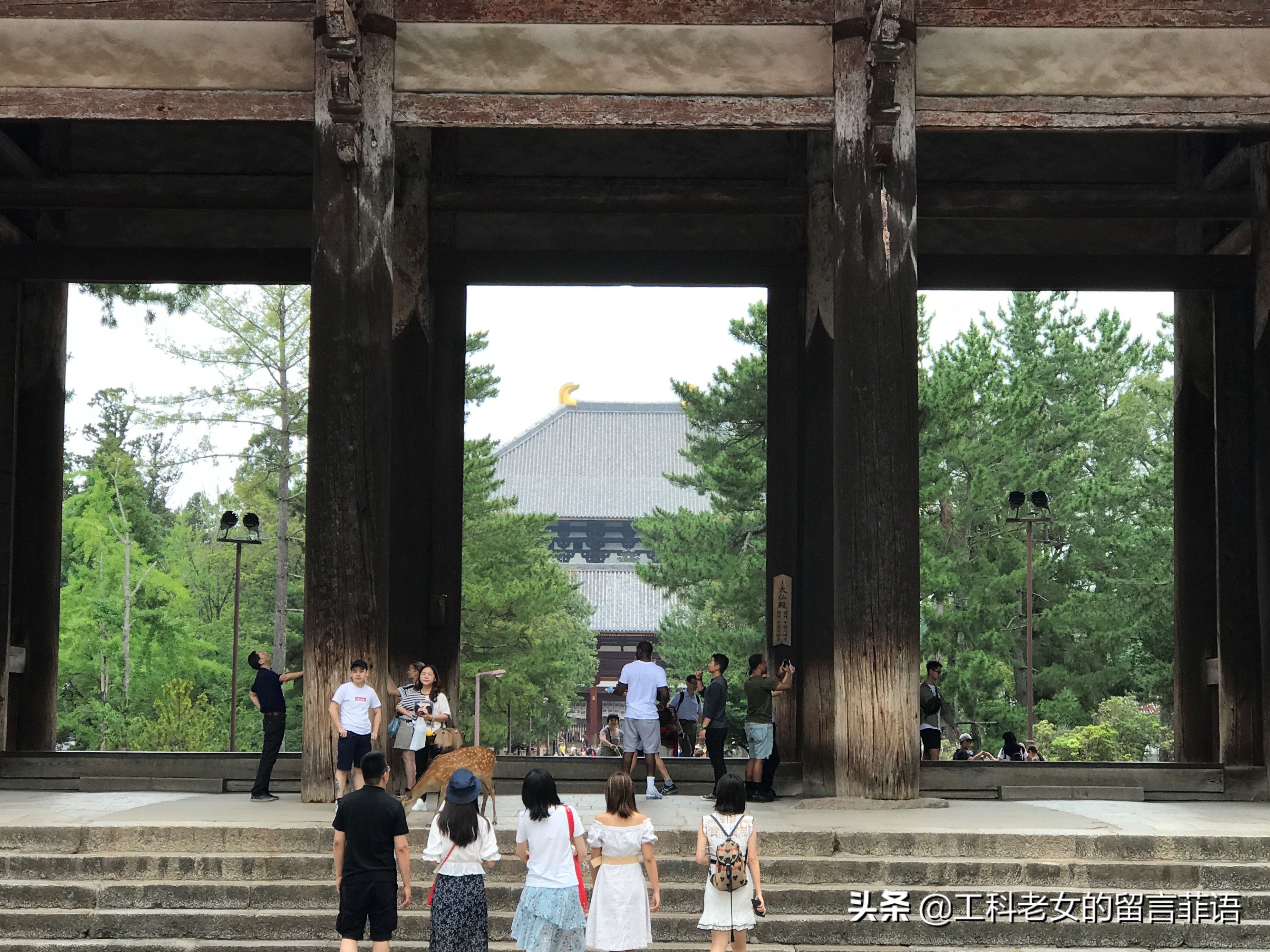 奈良东大寺大佛殿和太和殿,奈良东大寺位置地图图片
