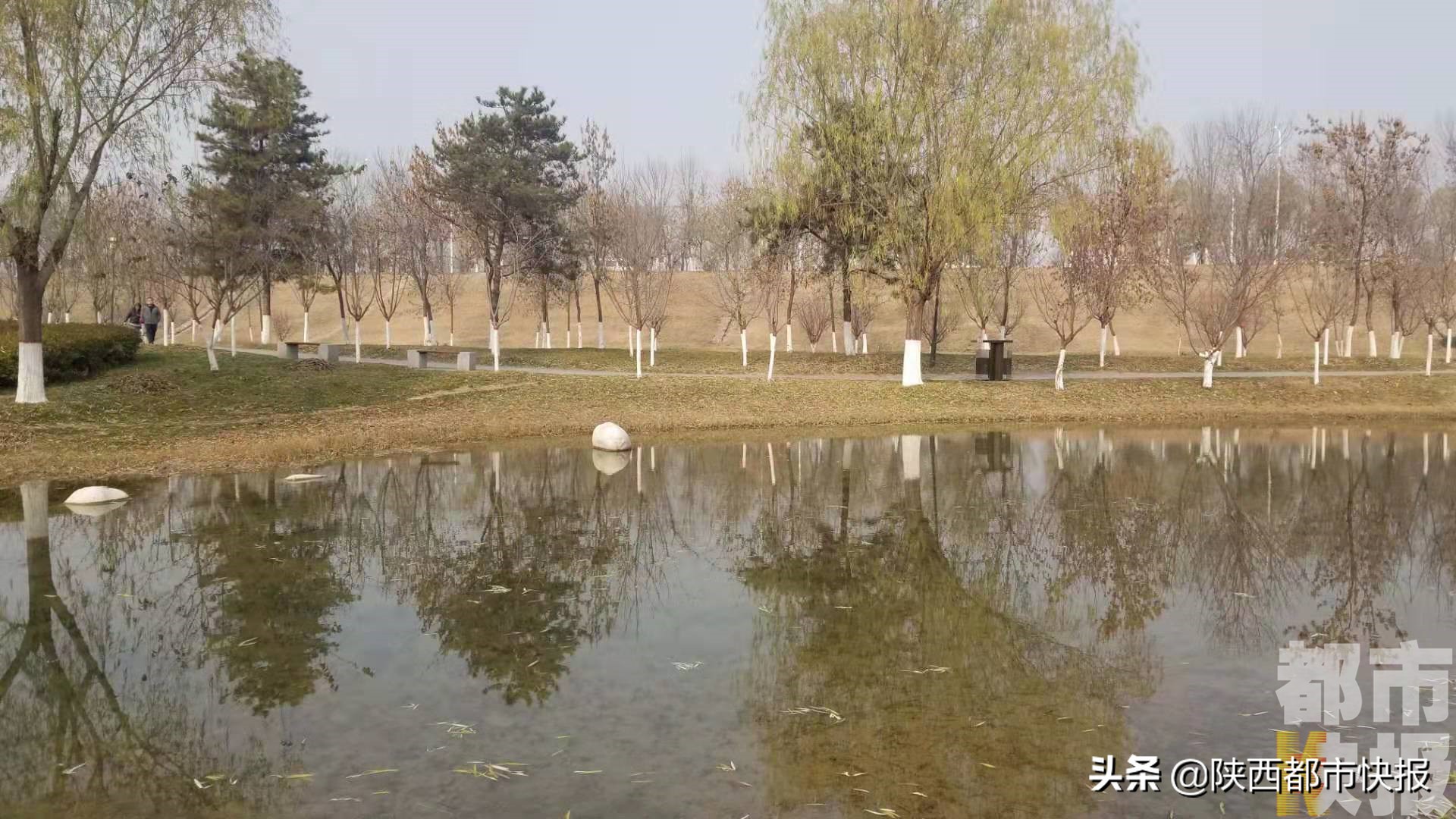 渭河生态治理2022,爱上新陕西之魅力浐灞