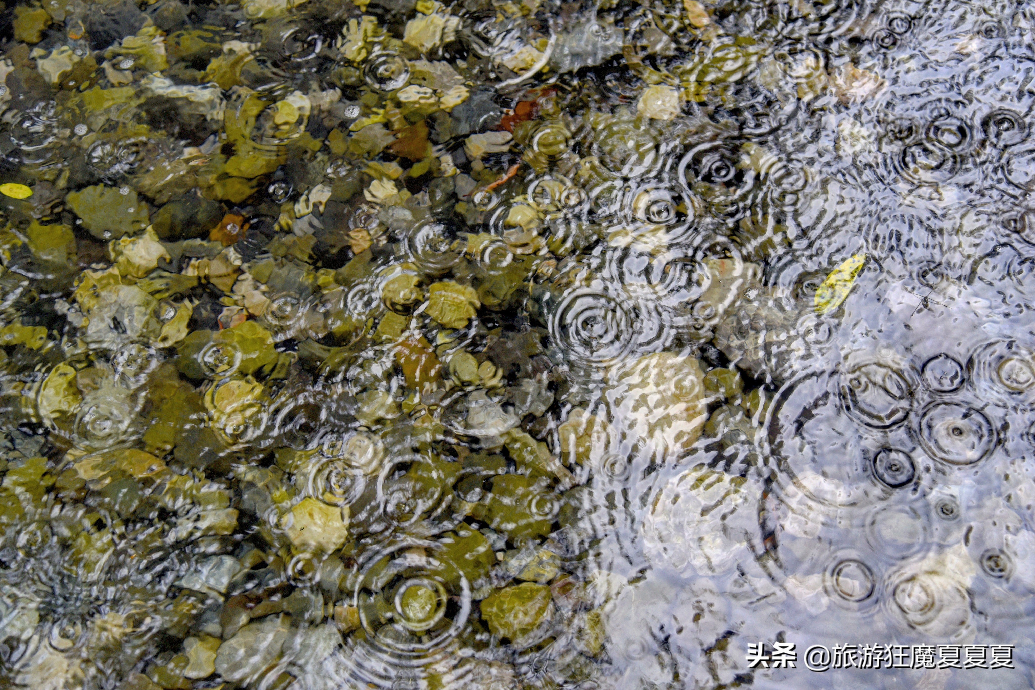 看似危险实则安全的溪降，在成都周边就有，运动员：不怕就行