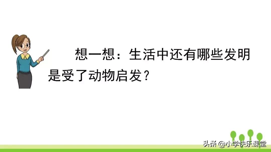 四年级上册语文蝙蝠和雷达课后题,部编版四年级上册语文蝙蝠和雷达