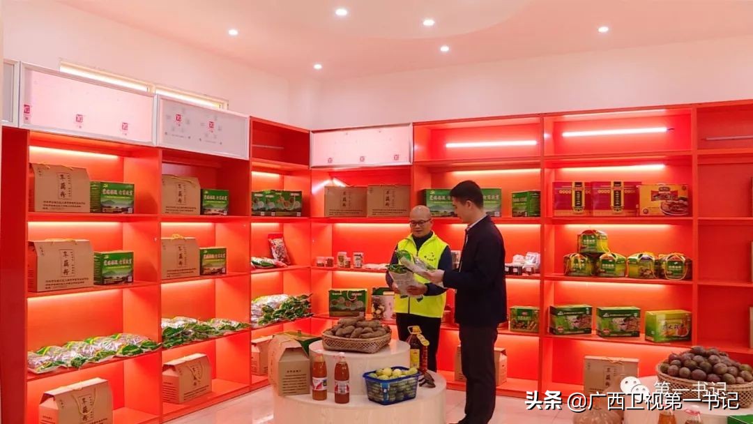 旱藕是啥“藕”?这里的人靠种它脱了贫