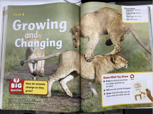 鲸鱼小班好用吗,鲸鱼小班一年课后的感受