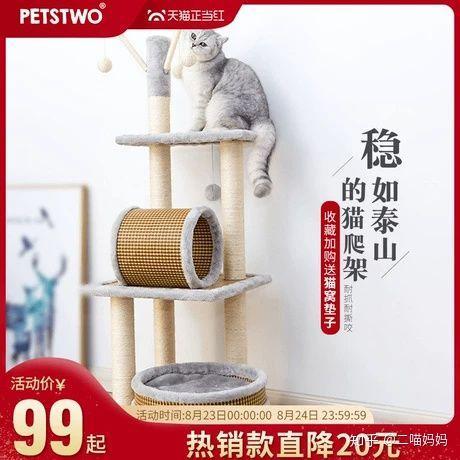 新手铲屎官去宠物店需要注意什么,新手铲屎官的真实故事