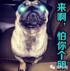 想开店卖产品是做代理还是经销商,做代理和经销商哪个好