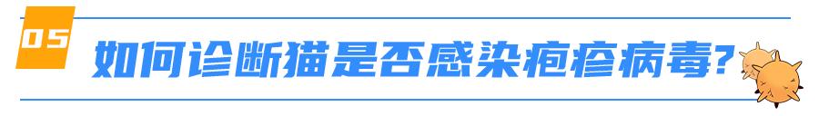 猫感染疱疹咳嗽,猫有眼屎打喷嚏怎么回事
