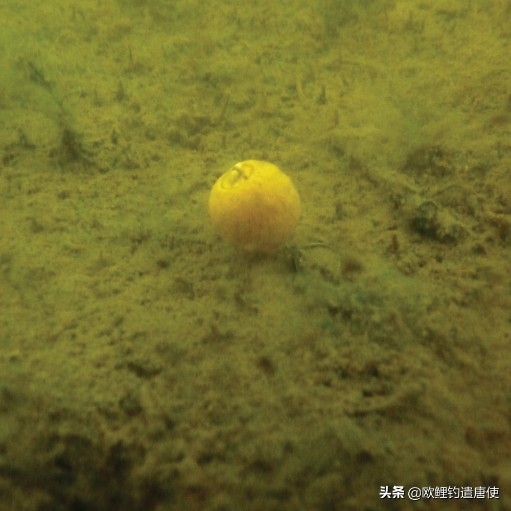 禁渔期一竿一线一钩可钓鱼吗,禁渔期过了一竿一线一钩可钓鱼吗