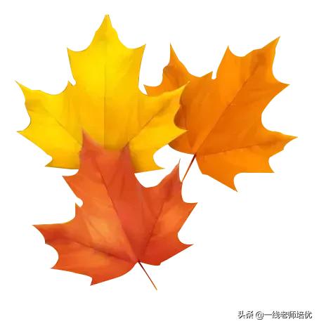 积累aabc式的词语大全 (词语积累abcd式的词语)