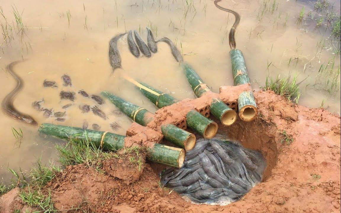 钓黄鳝出洞技巧,黄鳝钓黄鳝怎么钓