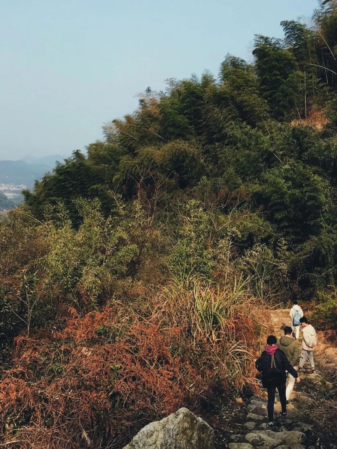 疫情结束房子会降价吗,疫情结束后又发生了什么事