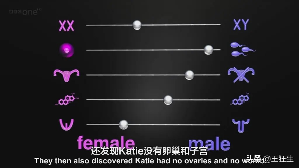 Blinkist性别教育：《她/他/Ta们/我》