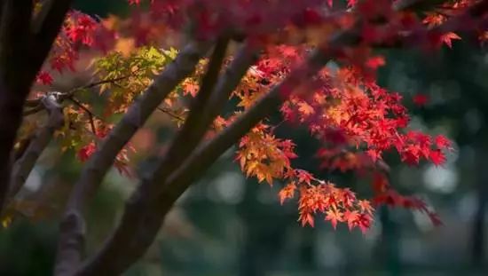 上海厉害了,厉害了上海