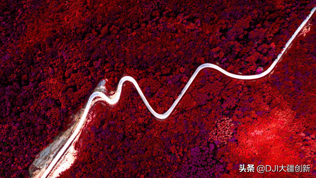 从什么上买的无人机又便宜又好 (一般人最值得买的无人机)