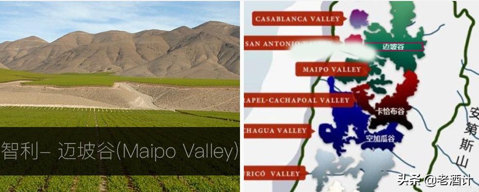 智利葡萄酒和宁夏葡萄酒,法国葡萄酒和智利葡萄酒