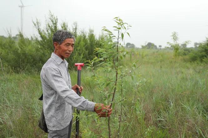 阜新人的生活,阜新人怎么样啊