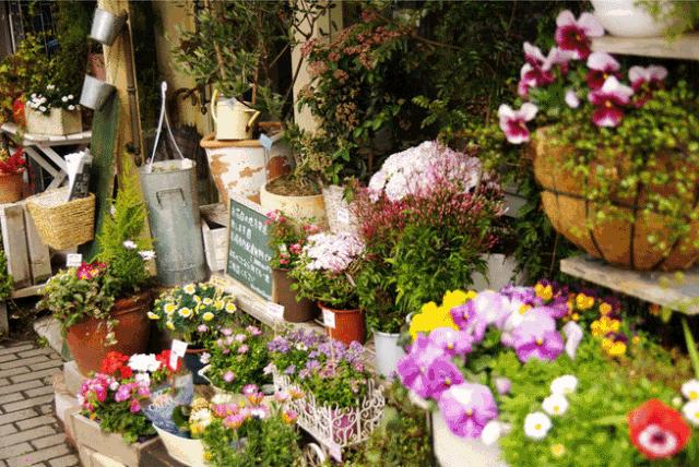 开花店怎么学技术,开花店零基础知识