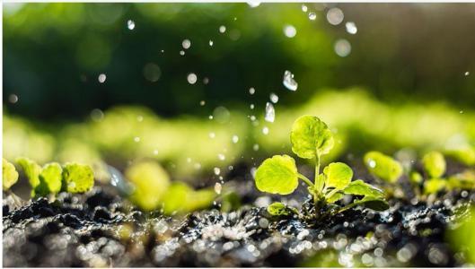 循环农业致富,循环农业结出致富果