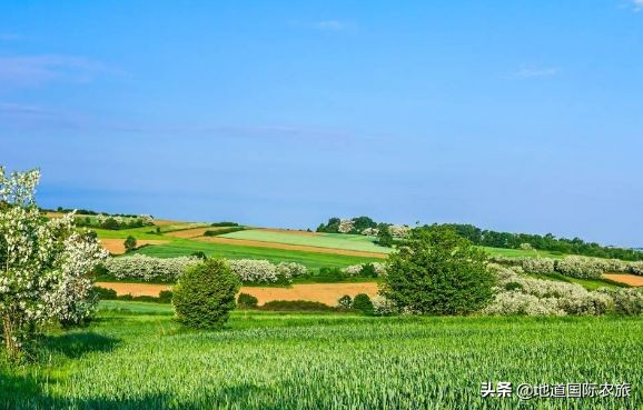农业政策扶持项目,百万农业补贴新模式项目