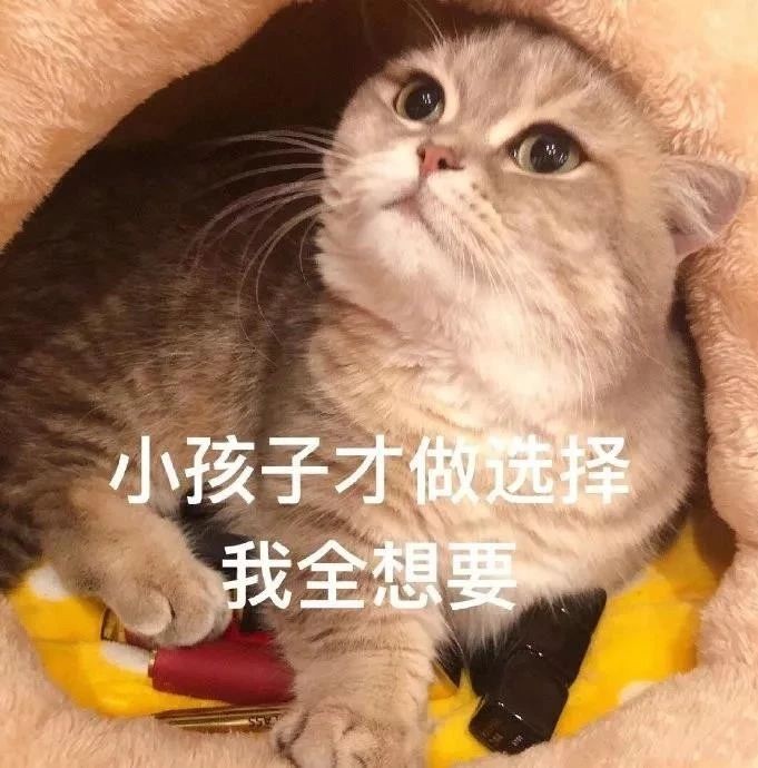 平价花西子口红试色测评,好用的平价口红测评遮唇色